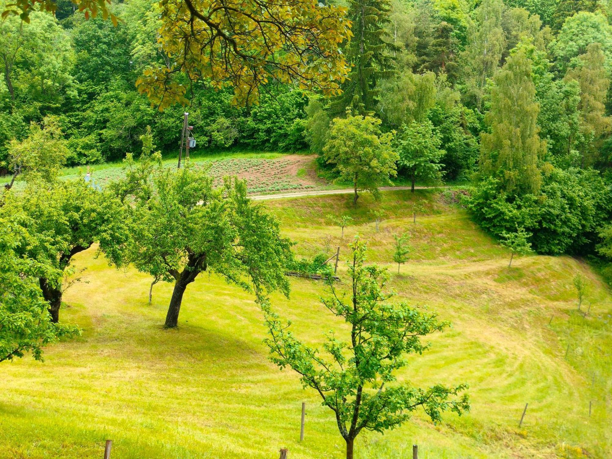 Apartments Organic Tourist Farm Gradisnik Prevalje Exterior photo