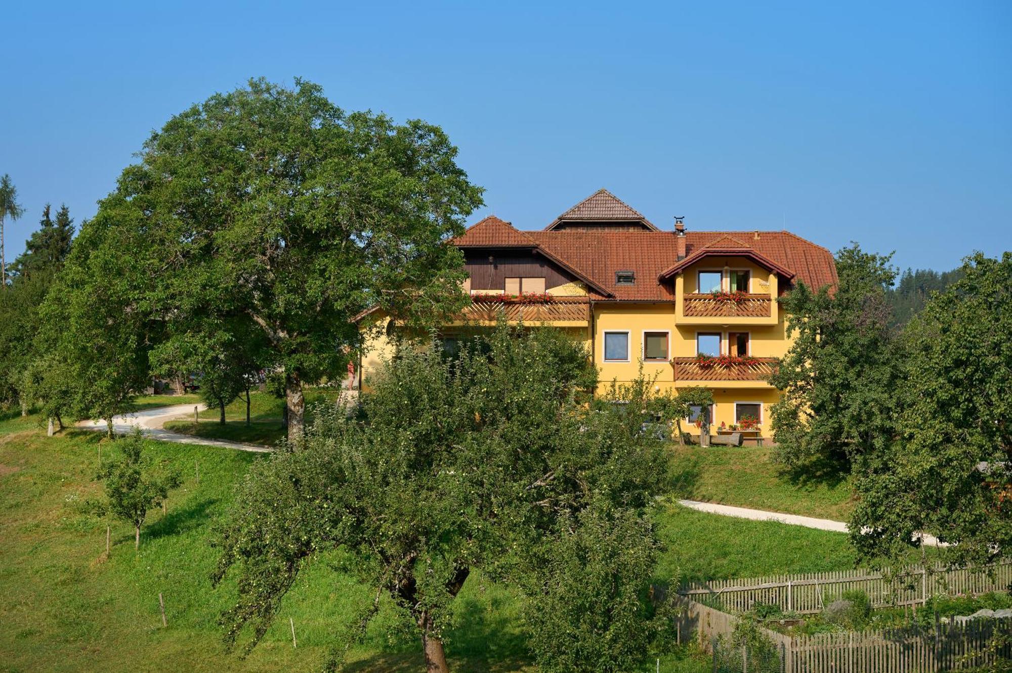 Apartments Organic Tourist Farm Gradisnik Prevalje Exterior photo