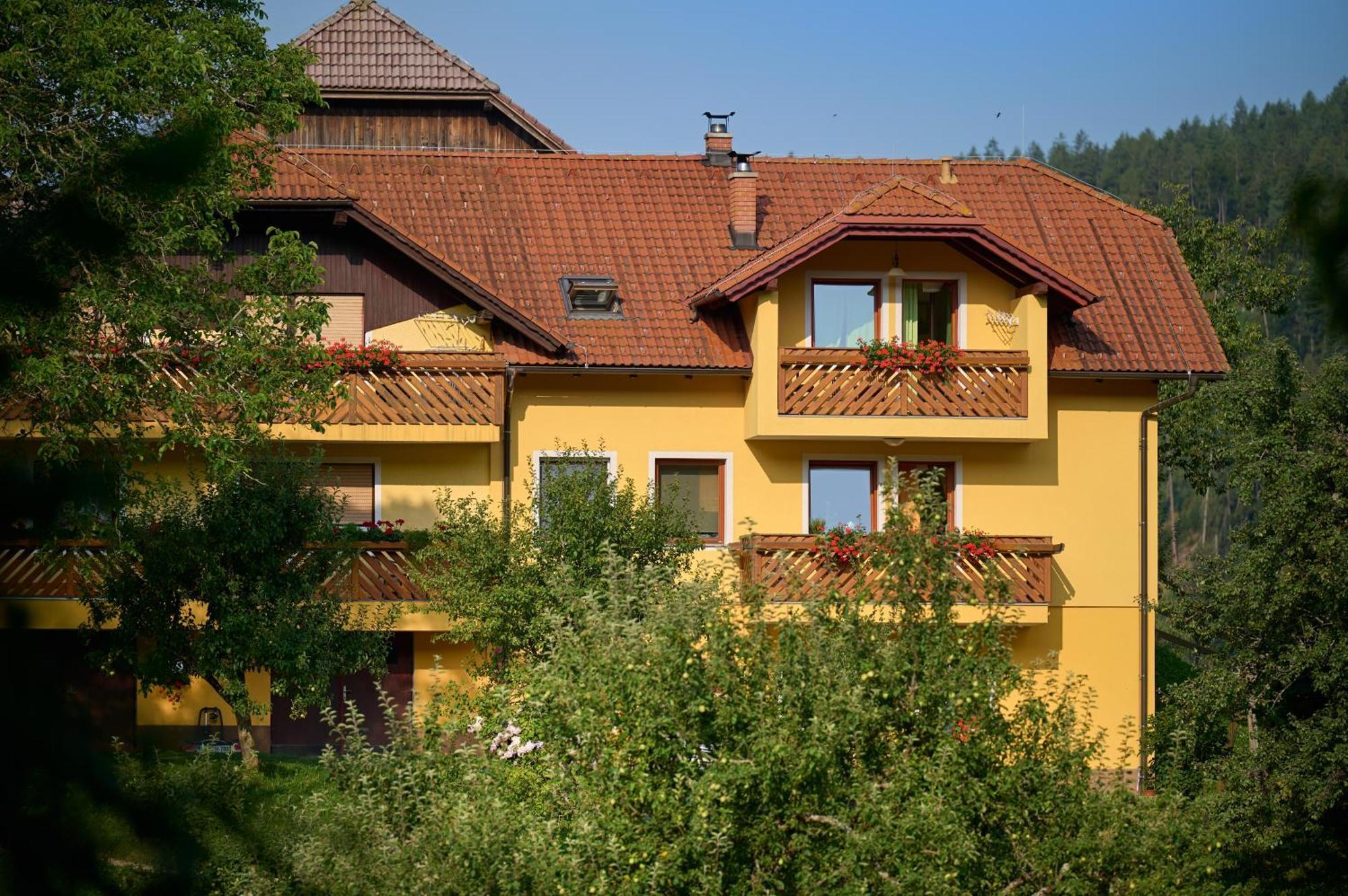Apartments Organic Tourist Farm Gradisnik Prevalje Exterior photo