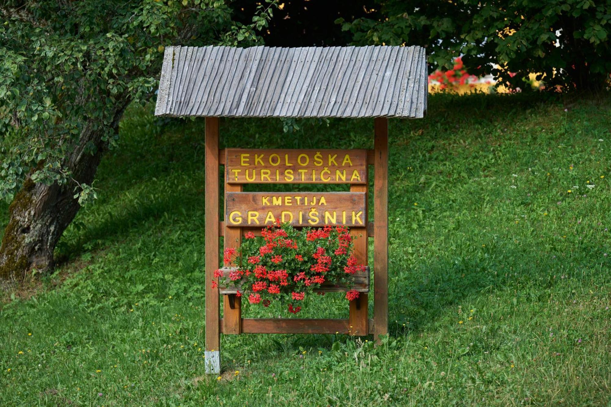 Apartments Organic Tourist Farm Gradisnik Prevalje Exterior photo
