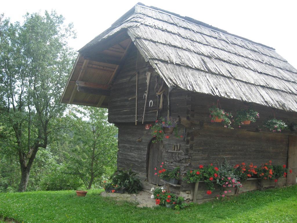 Apartments Organic Tourist Farm Gradisnik Prevalje Exterior photo